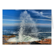 Geyser de péninsule de Schoodic au parc national d Cartes De Vœux