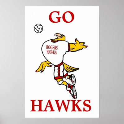 GHawk Volleyball Poster by josephjacques