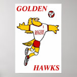 GHawk Volleyball Poster