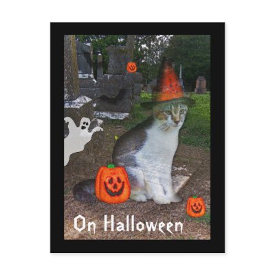 Ghost Cat Post Card by DanceswithCats
