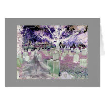 Ghost in the Cemetery Cards