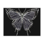 Ghost Moth Postcard