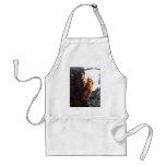 Ghost of a Shell Apron