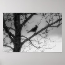 Ghost Raven Poster