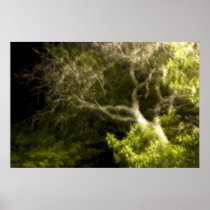 Ghosted Tree