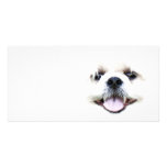 Ghostly dog customized photo card