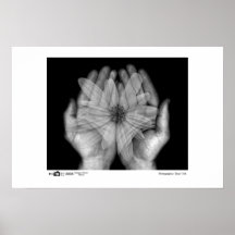 Ghostly Flower - Photo of the Year Category Winner Poster