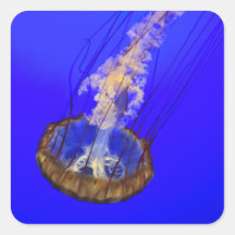 Ghostly Jellyfish Stickers