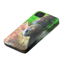 Giant Aldabra Tortoise Grunge, Kansas City Zoo iPhone 4 Covers