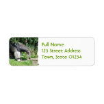 Giant Anteater Mailing Labels