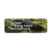Giant Anteater Return Address Label