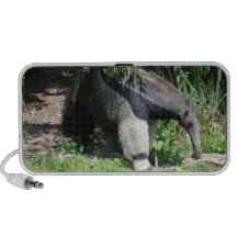 Giant Anteater Speakers