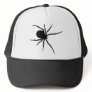 Giant Black Spider