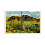 Giant Cactus in Desert Vintage Postcard Landscape