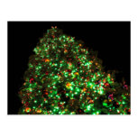Giant Christmas Tree III Postcards