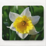 Giant Daffodil Mouse Mat