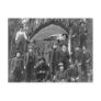 Giant Fir Tree Ready to Fall, 1902 Post Card