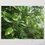 Giant Leaves Jungle View Plant Photograph Custom Flyer