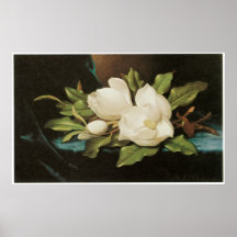 Giant Magnolias on a Blue velvet cloth, c.1890 Posters