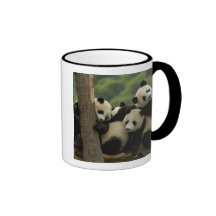 Giant panda babies Ailuropoda melanoleuca) 4 Mugs