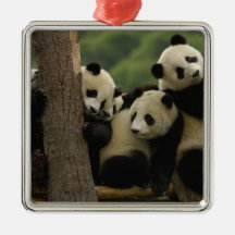 Giant panda babies Ailuropoda melanoleuca) 5 Ornaments