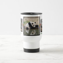Giant Panda Bear & Baby Pandas Travel Mug