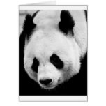 Giant Panda Bear Greeting Card