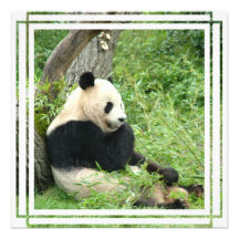 Giant Panda Bear Invitation