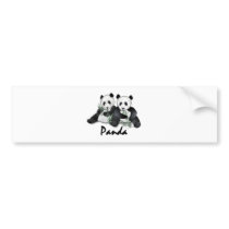 Giant Panda Bears Bumper Sticker
