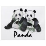 Giant Panda Bears Full Color Flyer