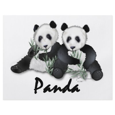 Giant Panda Bears Full Color Flyer by Paintedlynx