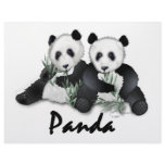Giant Panda Bears letterhead