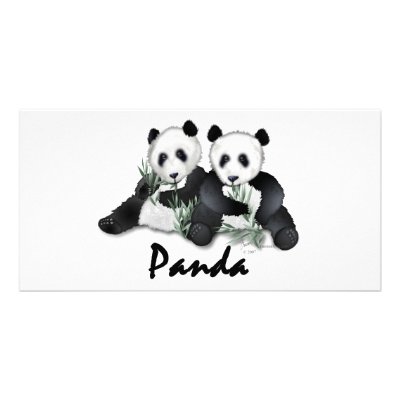 Giant Panda Bears Photo Cards by Paintedlynx