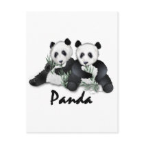 Giant Panda Bears Post Card