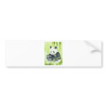 Giant Panda bumper sticker