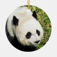 Giant Panda Close Up Portrait Christmas Tree Ornament