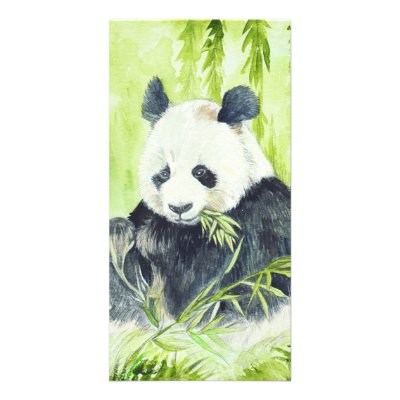 Giant Panda photocards by Wildlife_products
