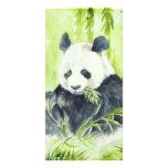 Giant Panda photocards