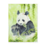 Giant panda postcard
