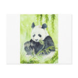 Giant Panda postcards