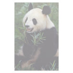 Giant panda, Sichuan Province, China Customized Stationery