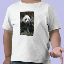 Giant pandas at the Giant Panda Protection & t-shirts