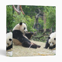 Giant pandas binders