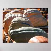 Giant Pumpkins Print