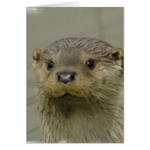 Giant River Otter Greeting Card