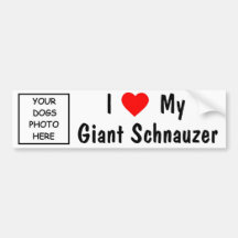 Giant Schnauzer Bumper Stickers