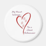 Giant Schnauzer Heart Belongs Magnet
