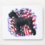 Giant Schnauzer Patriot