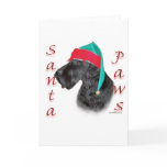 Giant Schnauzer Santa Paws
