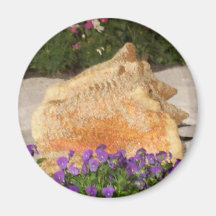 Giant Shell Refrigerator Magnets